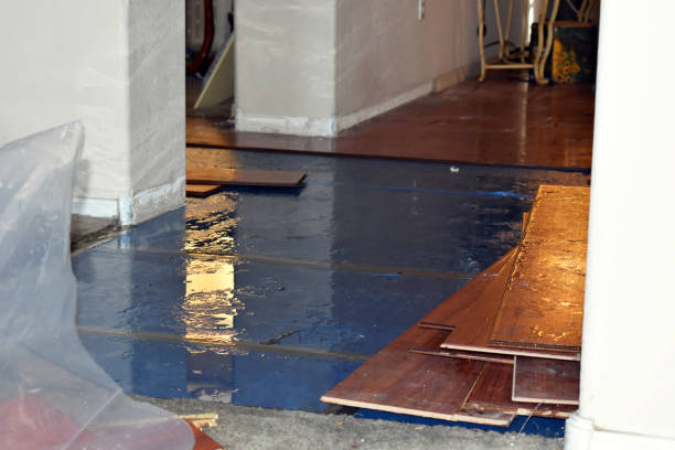 Professional Basement Flood Cleanup technician working in Bristolville, OH